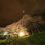 桜の向こうに・・・