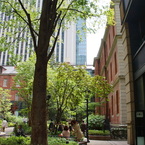 marunouchi-224