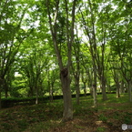 智光山公園2