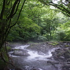 靄（もや）