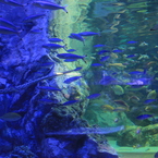 水族館