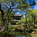 銀閣と庭園