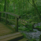 DSC00333