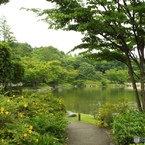 日本庭園5