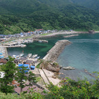 加茂青砂