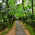 深緑参道