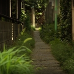 路地裏