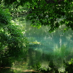 夏の丸池様-6