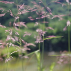 大正池にて