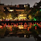 猿沢池に灯る光 ～池床～
