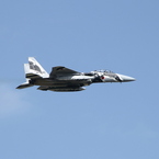 アグレッサー #10