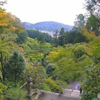 宇治に忍び寄る秋　(三室戸寺　８）