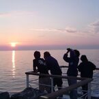 sunset　