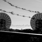 音声 / 認識