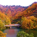 田子倉湖の紅葉！