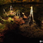 旅先より「昨夜の感動」－②