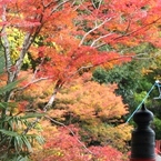 談山神社2