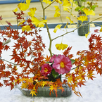 男の生け花その4