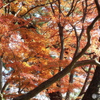 能仁寺4