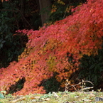 天岑寺5