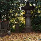 天岑寺7