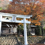 晩秋の神社