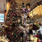 クリスマスツリー4