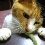 IMG_0156_R