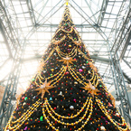 TDL クリスマスツリー