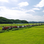 駆け抜ける怒涛