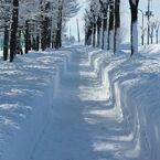 歩道も除雪