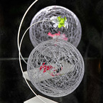 Test effect 01-2 /HDR