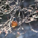 空間の佇み