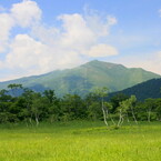 あの山の麓まで