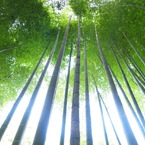 青の光