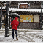 「みんな雪の中05」小江戸川越散歩143