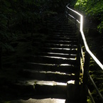 to the desire