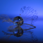 リアルな幻想
