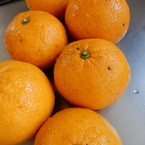 甘夏みかんジャムを作りました-1