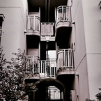 写シンの由来 (05)