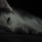 soft