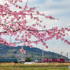 2018.3.21 EF66 27 5074レ②