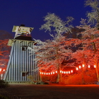 ２０１８夜桜 Ｐａｒｔ７