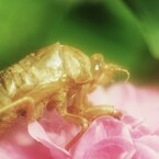 過ぎ去りし・・・・
