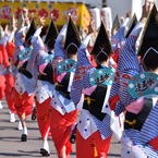 阿波踊り～女踊り②