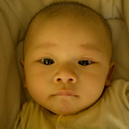 photo_778347