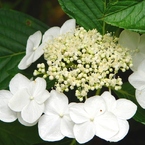 DSC01222-1