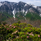 岩壁に花束を Ⅱ