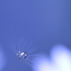 空はひとつ