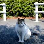 人間不信